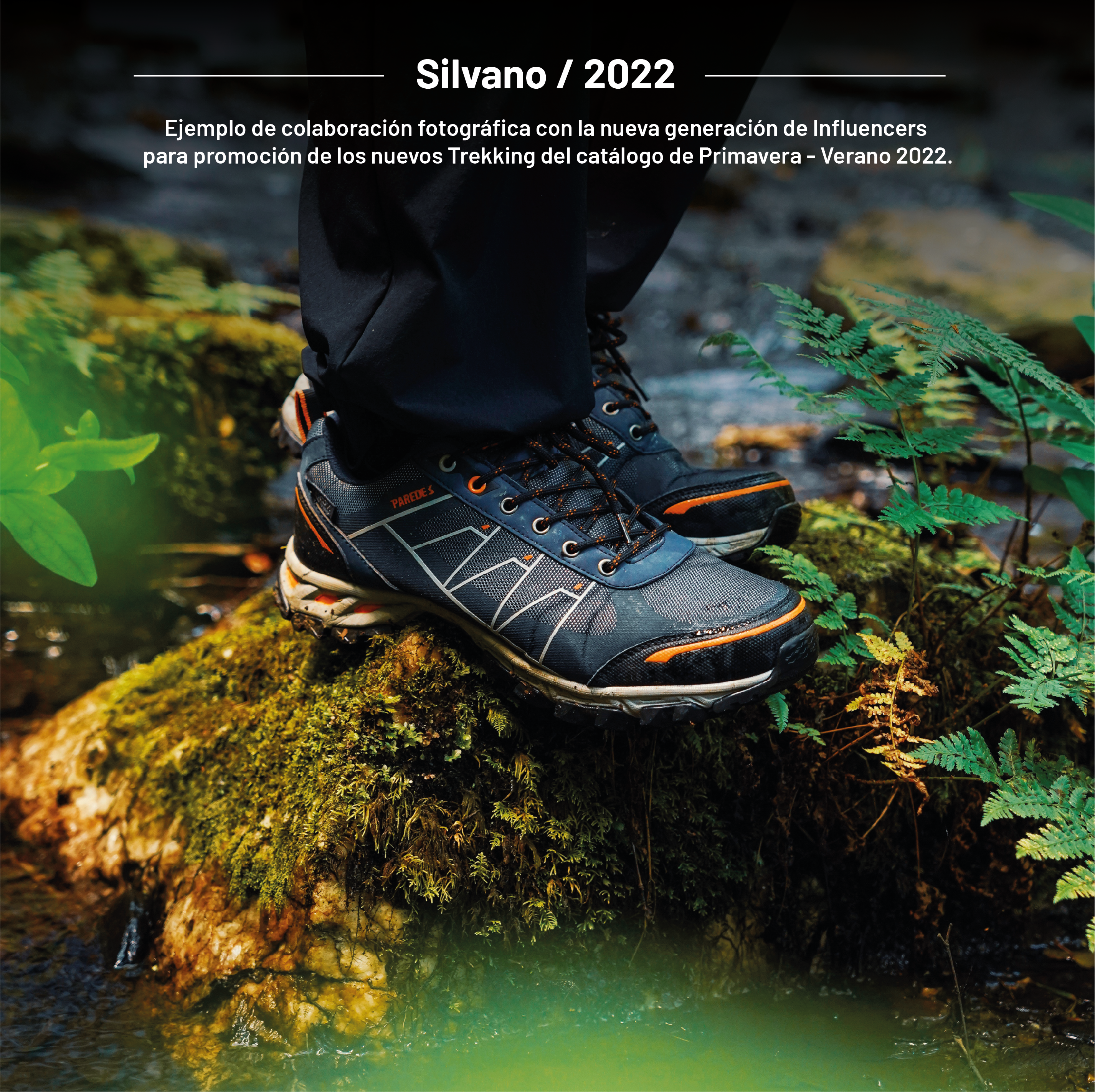 Años 2020 - Paredes